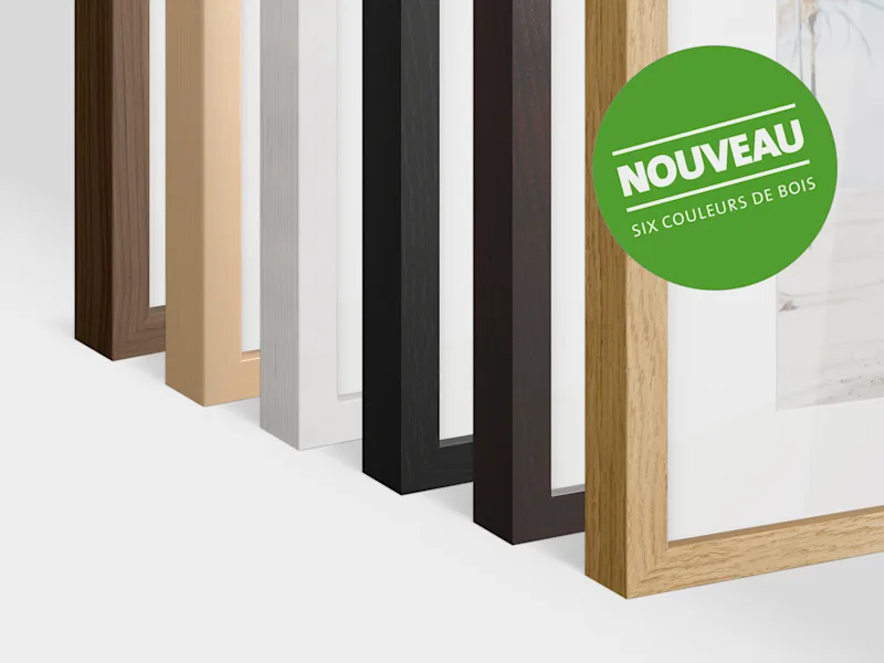 Six cadres magnétiques interchangeables en différentes teintes de bois du foncé au clair alignés, cercle vert à droite avec le texte 'NEUF SIX COULEURS DE BOIS'.