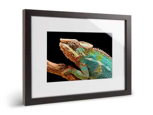 ultraHD photo print on Fuji Crystal Archive Maxima paper in a solid wood passe-partout frame.