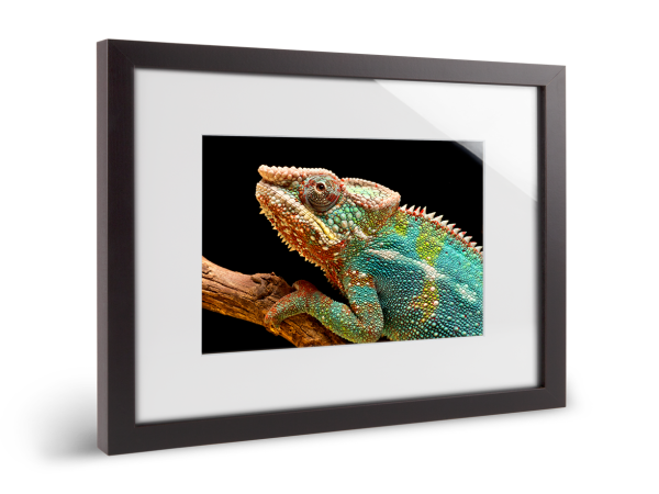 ultraHD photo print on Fuji Crystal Archive Maxima paper in a solid wood passe-partout frame.