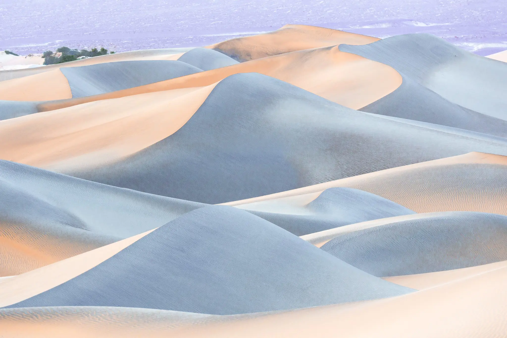 sand dunes in soft shades.