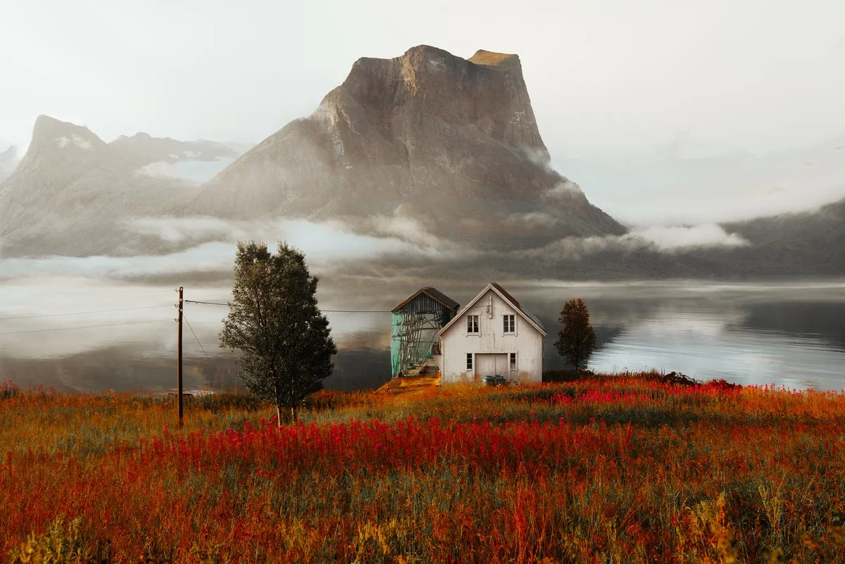 lonely house in a red field.