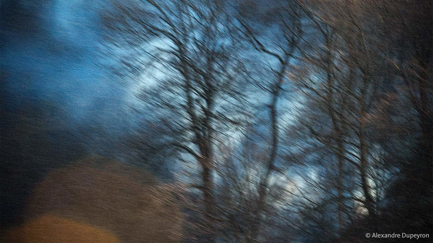 Artistic photograph of bare trees against a dramatic, bluish-copper sky. The blurred image evokes a dreamlike, almost painterly landscape, where light and movement mingle with subtlety.