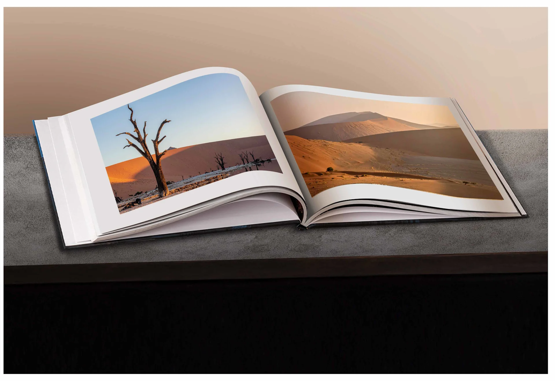 An open, large-format photo book showcases stunning landscape photography from Namibia. The left page features a striking dead tree in Deadvlei against a reddish dune under a blue sky. The right page displays a vast dune landscape bathed in the warm light of the low sun. The book rests on a dark, textured surface against a neutral background.