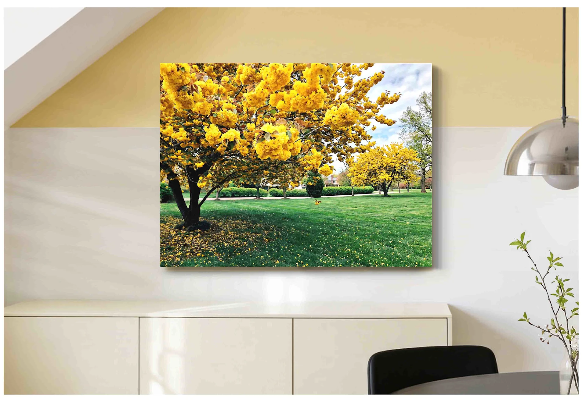 Una stampa su tela di grande formato senza cornice è appesa a una parete bicolore in una sala da pranzo o un soggiorno moderni. L'immagine mostra due magnifici ciliegi gialli in fiore su un prato verde sotto un cielo nuvoloso. Una credenza color crema si trova sotto la stampa, mentre una lampada a sospensione e una pianta sono visibili in primo piano.