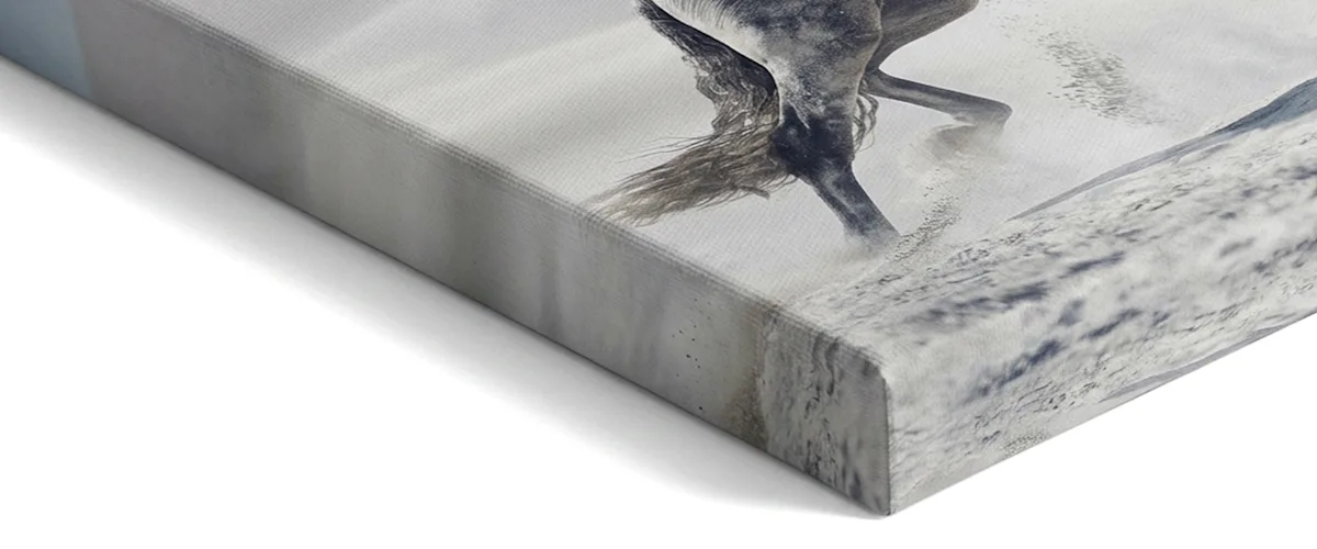 Close-up van een schilderij met een paardenmotief.