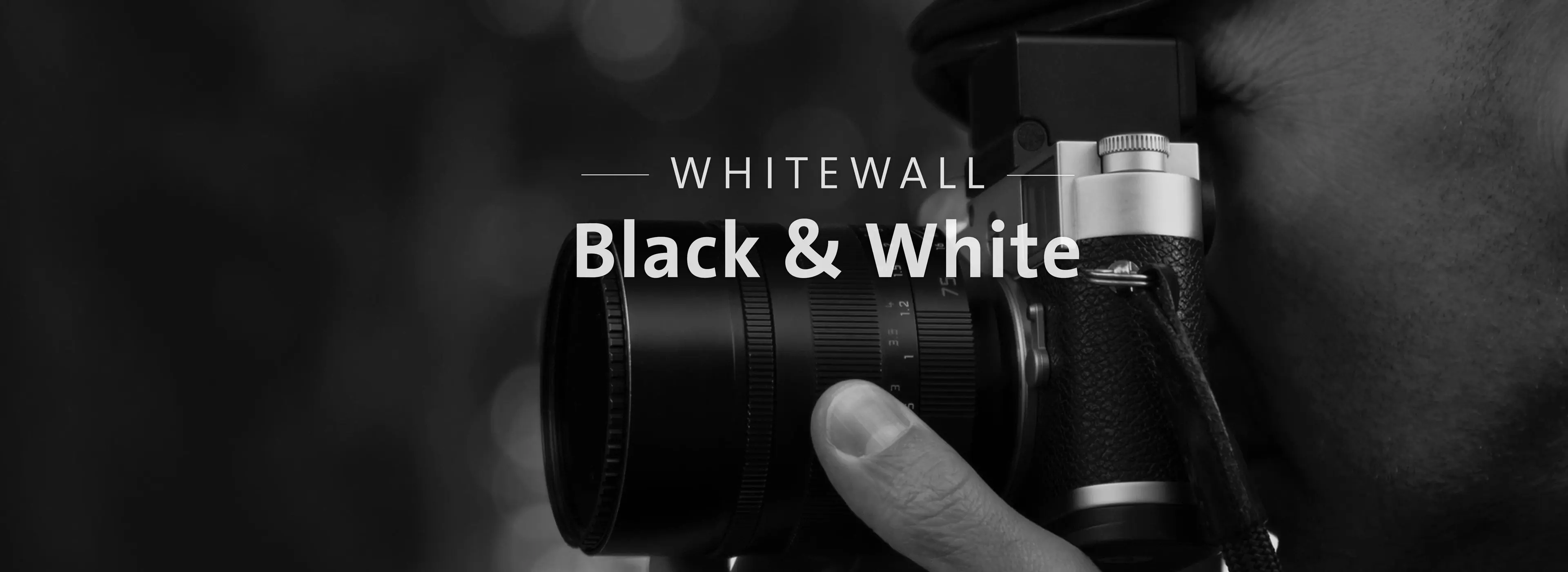 280830_WhiteWall-Black&White-LP-videoframe_desktop.jpg