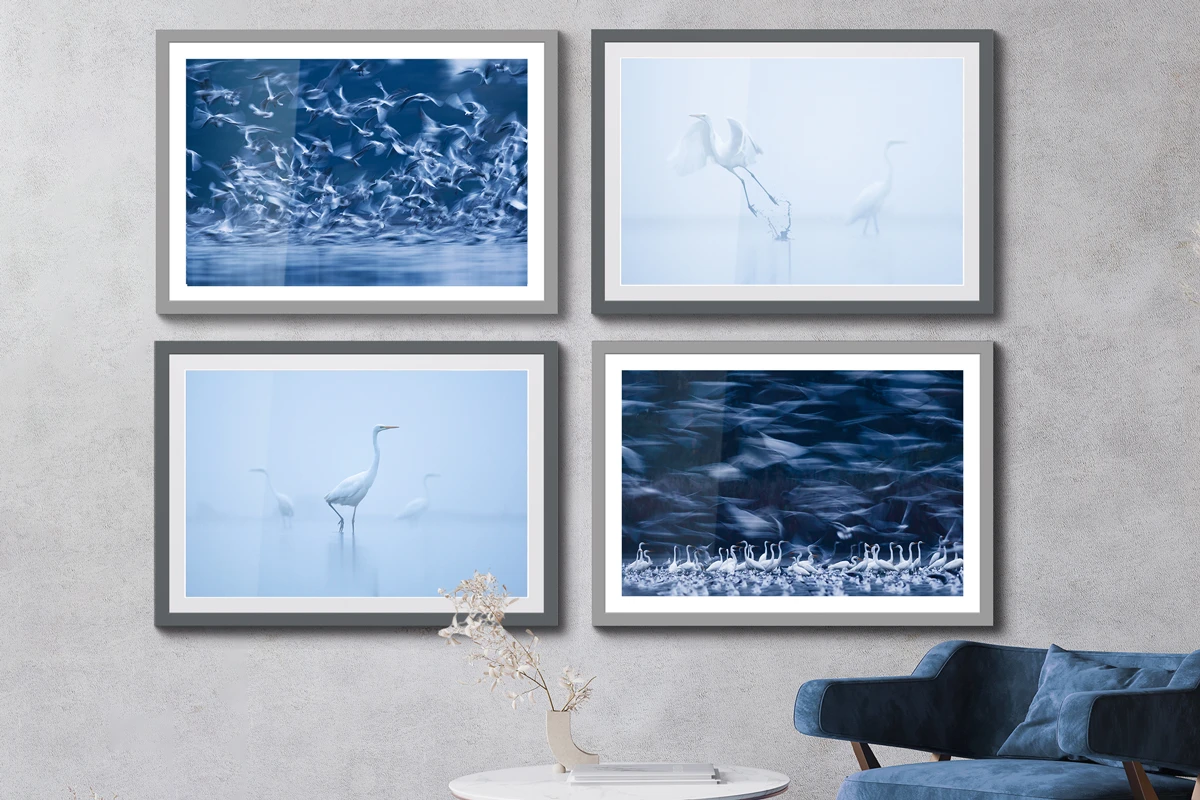 photo arrangement with egrets on a lake, winter landscape with cool blue tones.