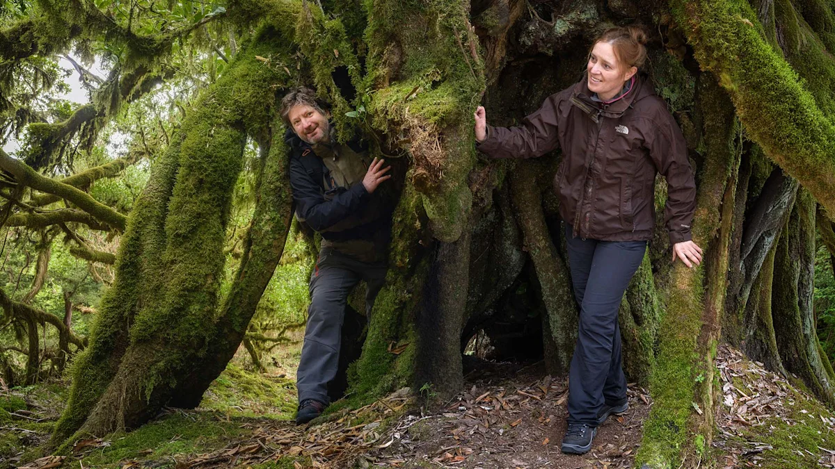 Two hikers in dark jackets smile while leaning against the massive moss-covered roots of an ancient tree in a lush green forest.