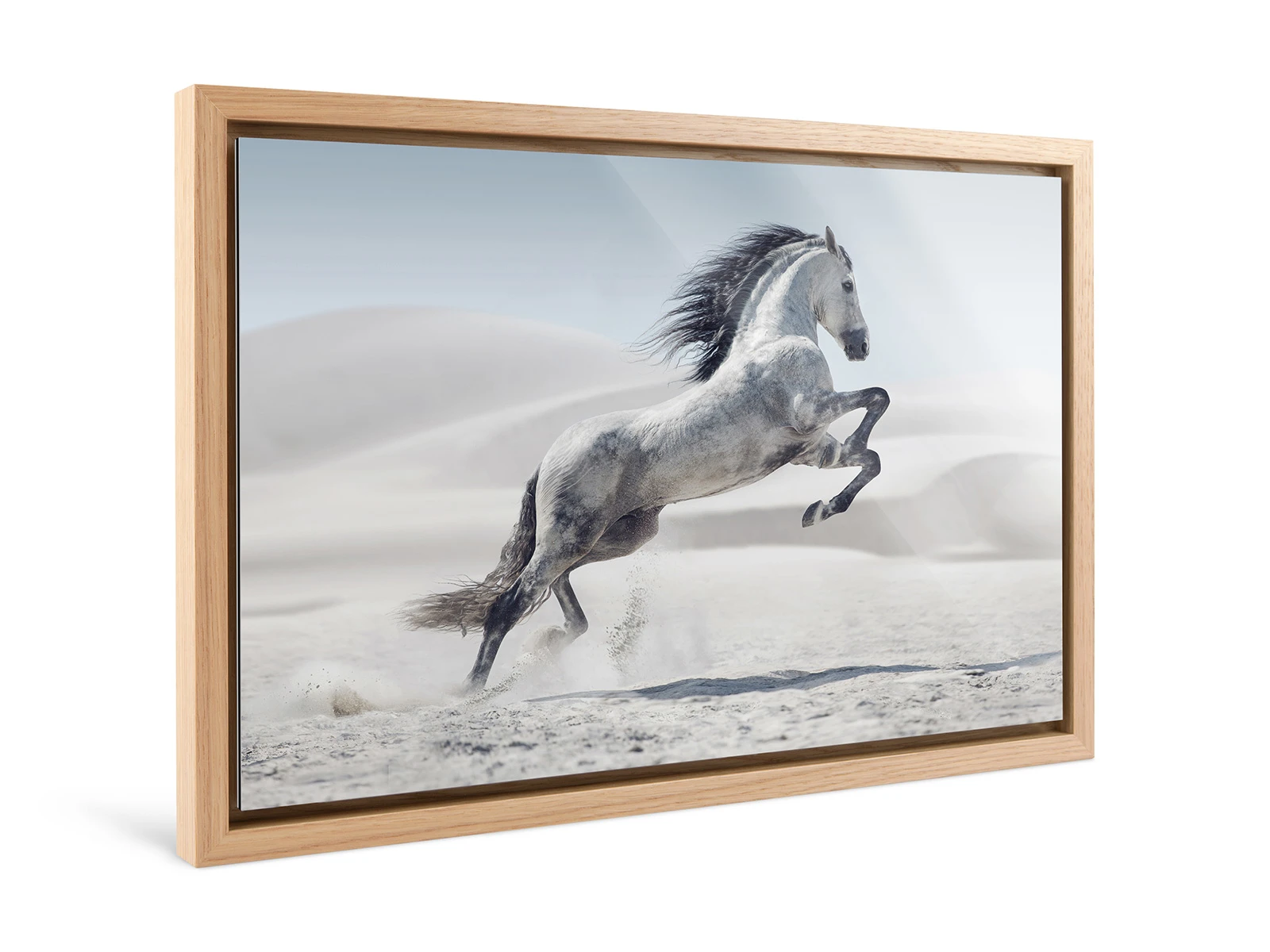 A white horse jumps in a desert landscape framed in a Floater Frame.