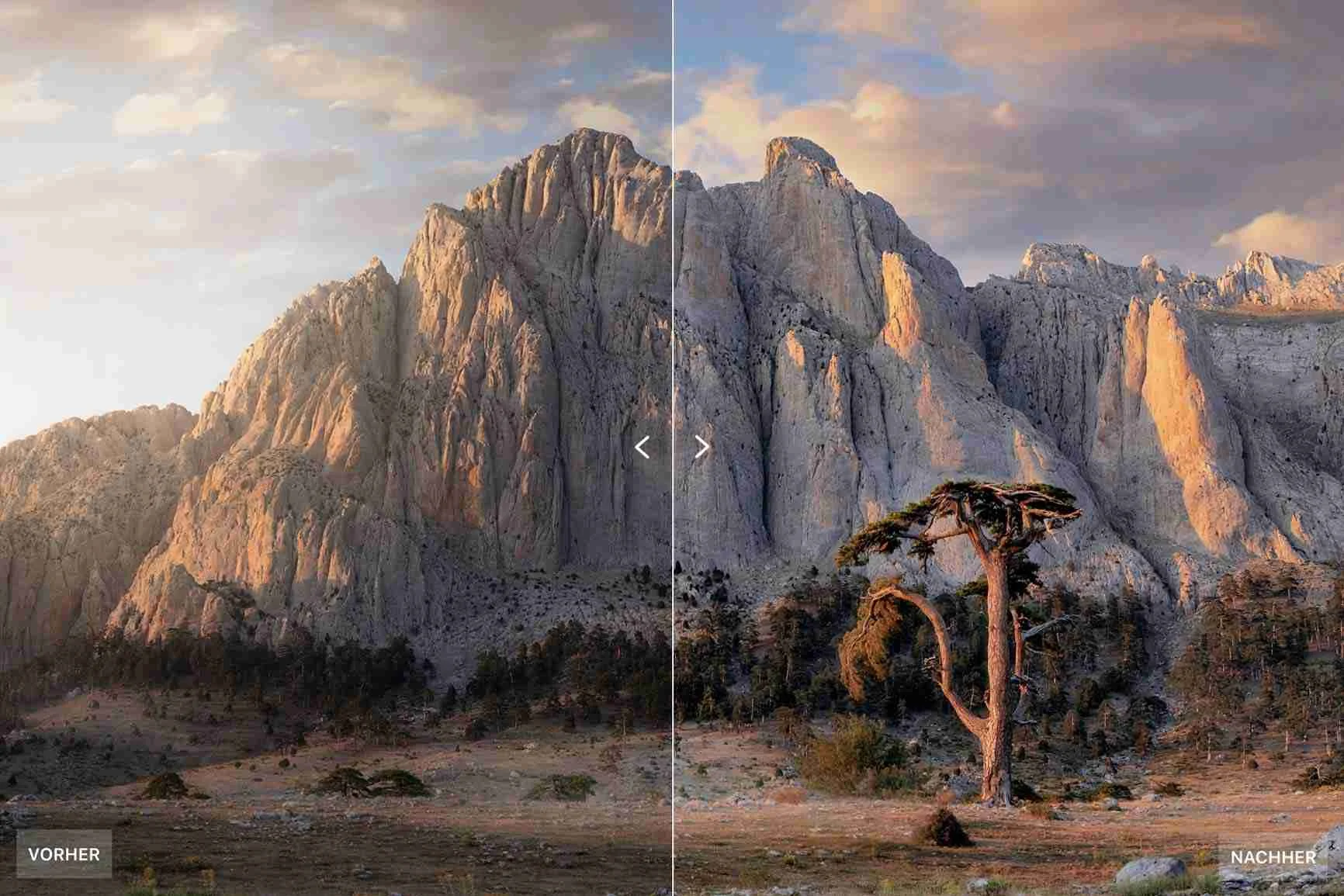 Landschaft mit Felsen und Baum, links dunkler und kontrastärmer, rechts heller und detailreicher nach Bildoptimierung.