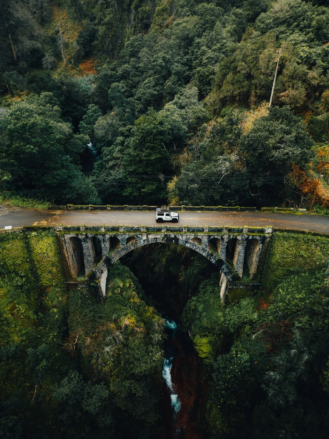 Voiture sur un vieux pont à Madère, entourée d'arbres verts denses et de cascades.