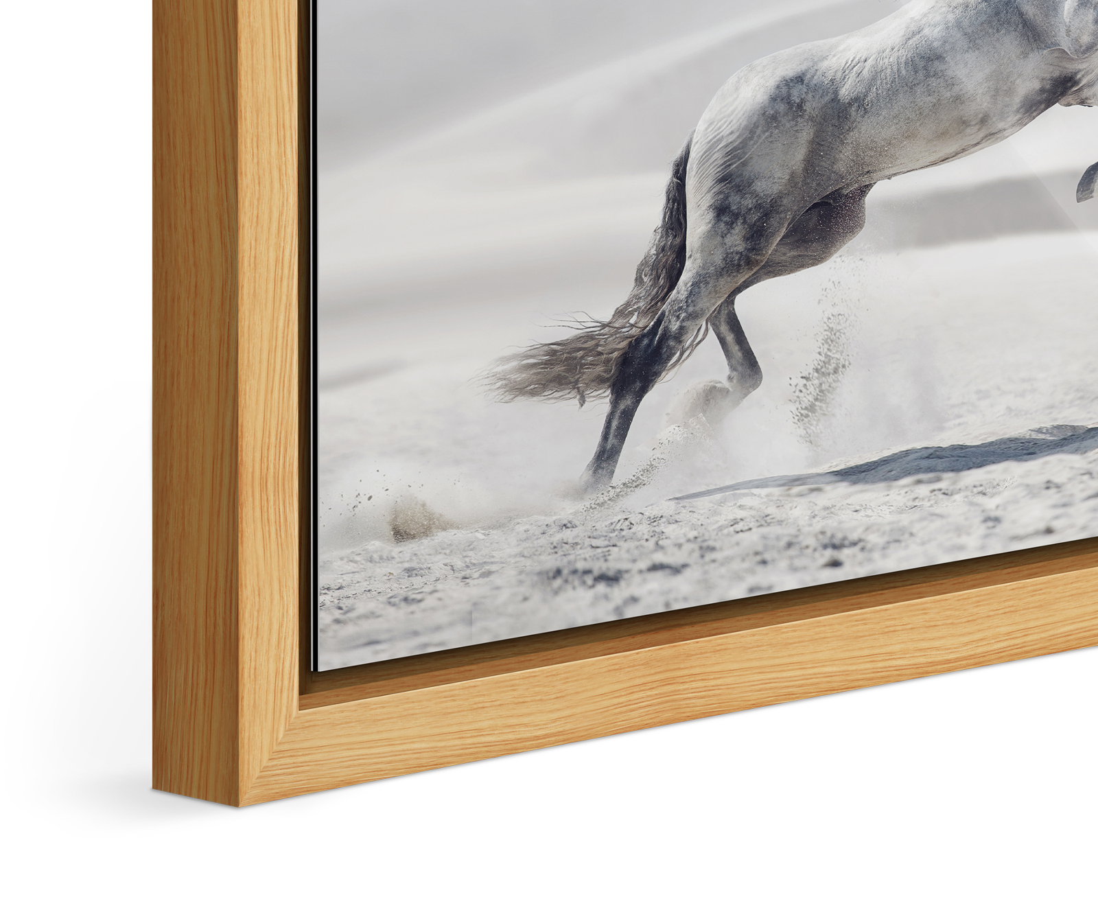 Close up of the image of a white horse jumping in a desert landscape framed in a Floater Frame.