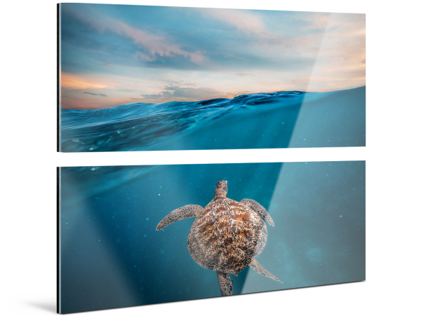 A turtle swims just below the surface of the sea. The whole picture is divided into two parts that hang vertically on the wall. 