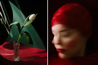 On the left a tulip in a vase on a red cloth, on the right a blurred portrait of a person with a red headdress.