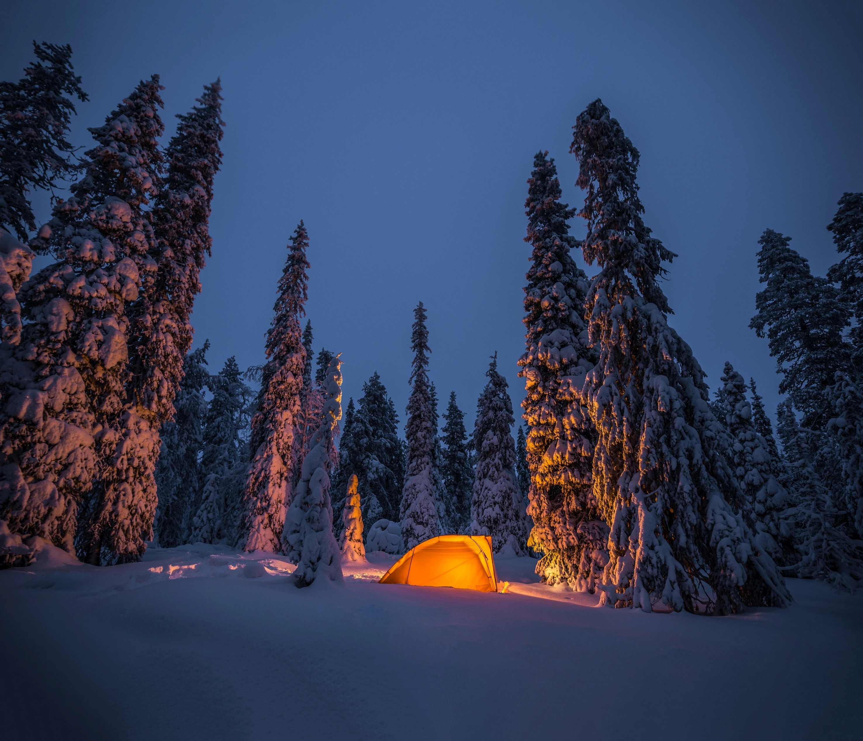 Glowing tent at night in a snowy winter landscape.