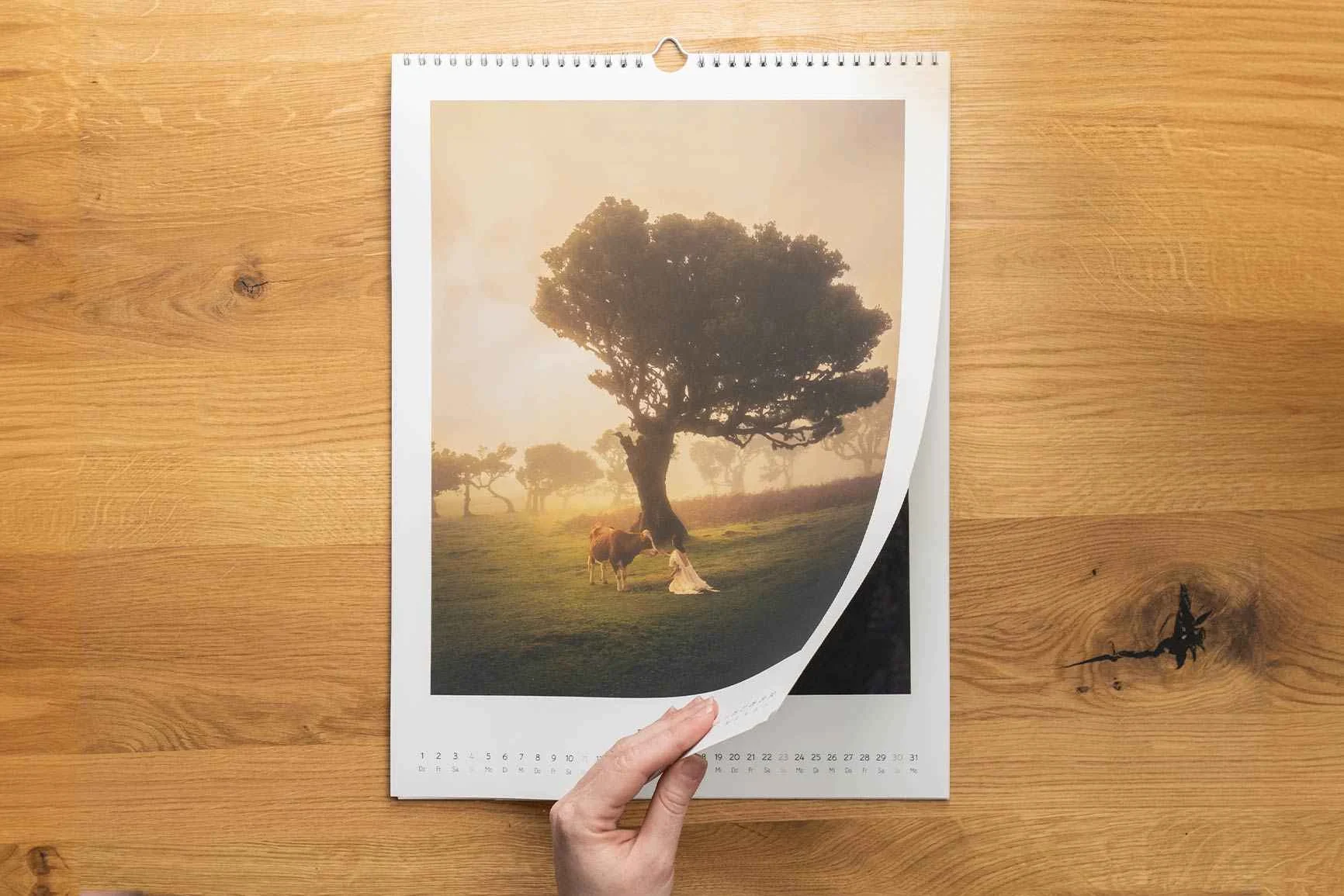 Fotokalender mit einer Landschaftsaufnahme eines Baums auf einer Wiese, eine Hand blättert die Seite um, Holztisch im Hintergrund.
