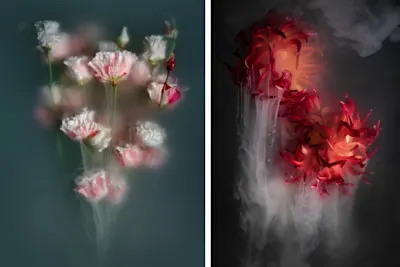 Robert Peek flower photos.