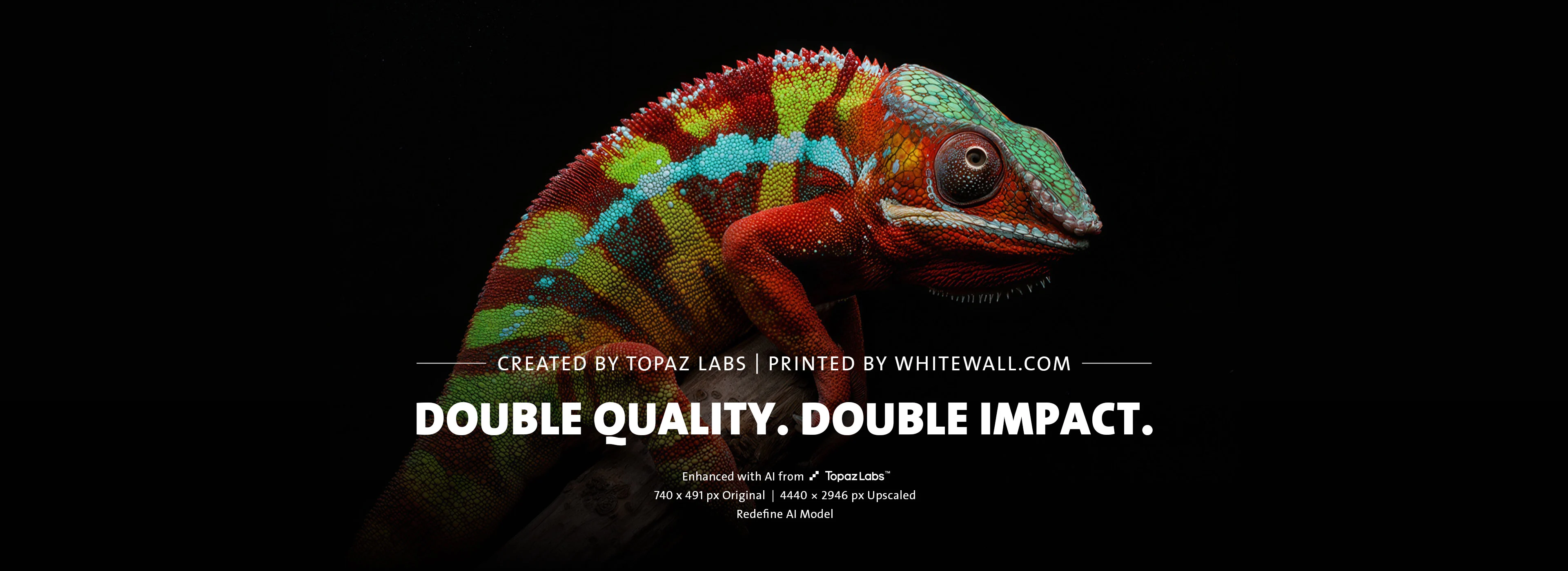 A chameleon with different colors on its skin.