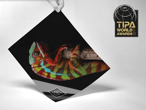 impression photo présentant une œuvre d'art colorée d'un caméléon et le logo doré des TIPA World Awards, exposée en angle sur une surface blanche