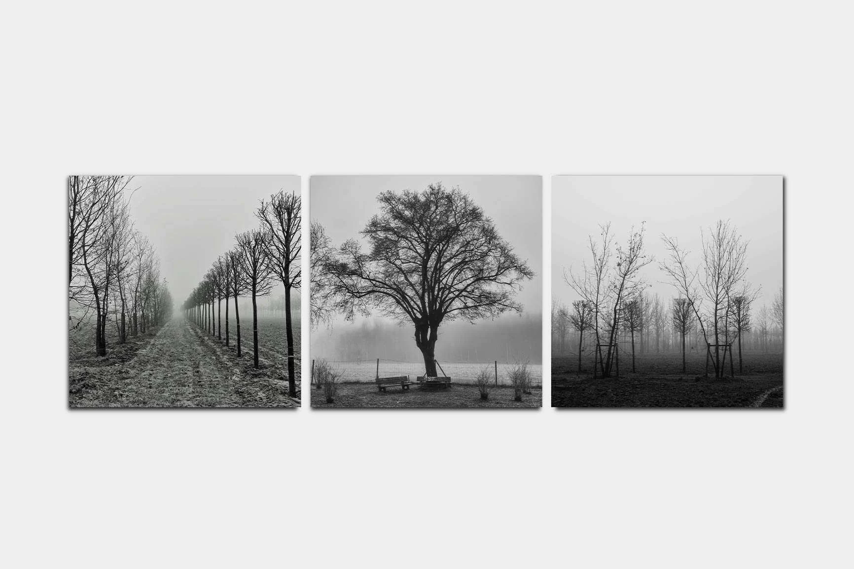 Trittico con tre fotografie paesaggistiche in bianco e nero.