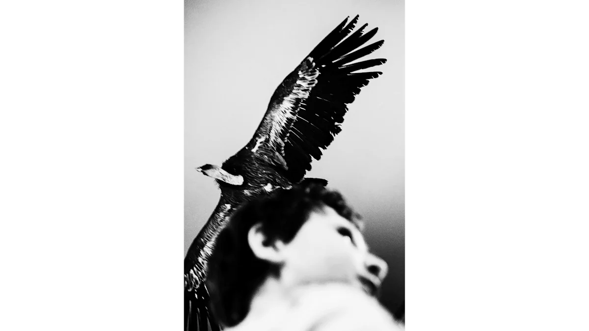 Photo with a woman in the foreground, slightly out of focus, and a grief bird in the background, which is in focus