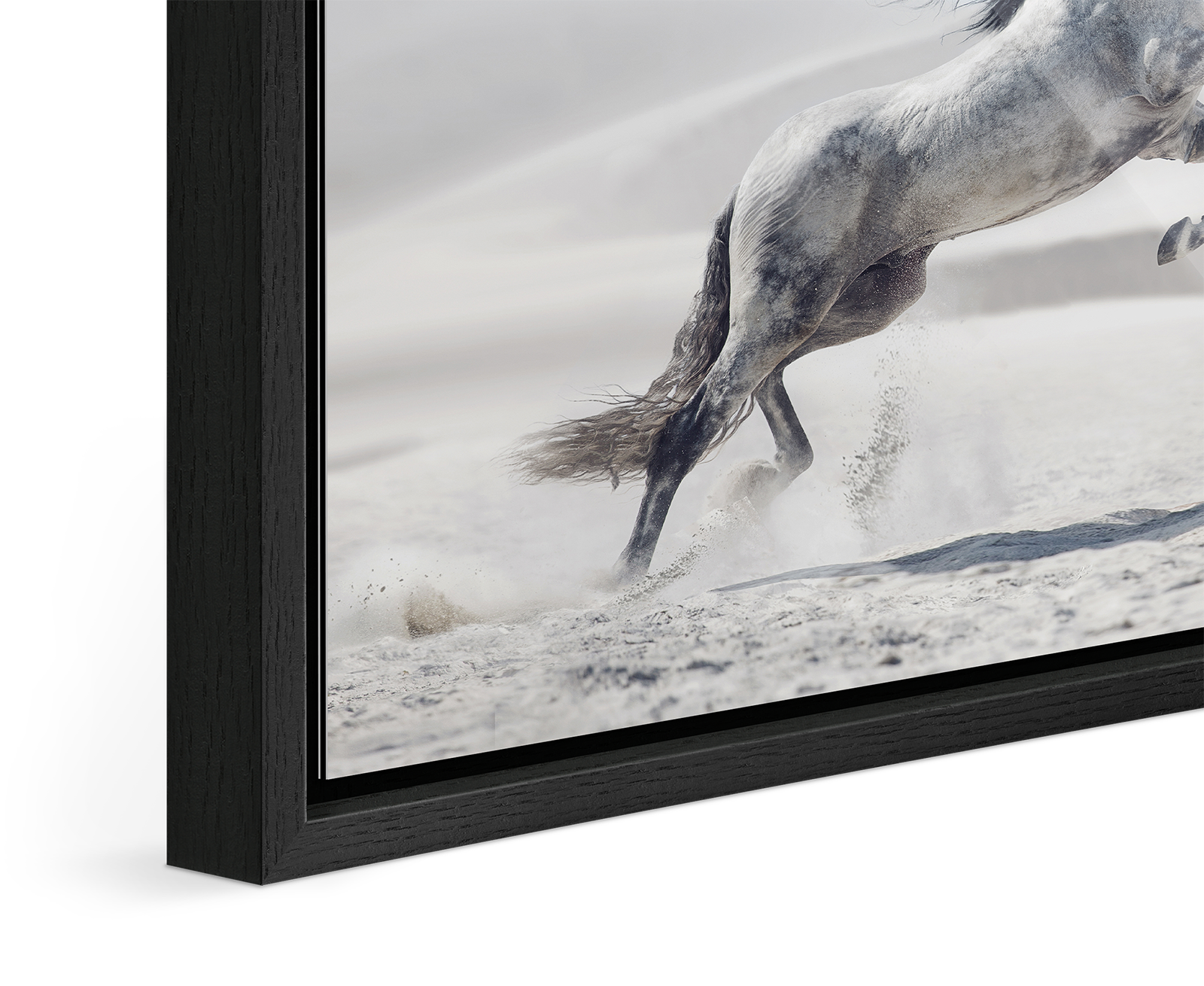 Close up of the image of a white horse jumping in a desert landscape framed in a Floater Frame.