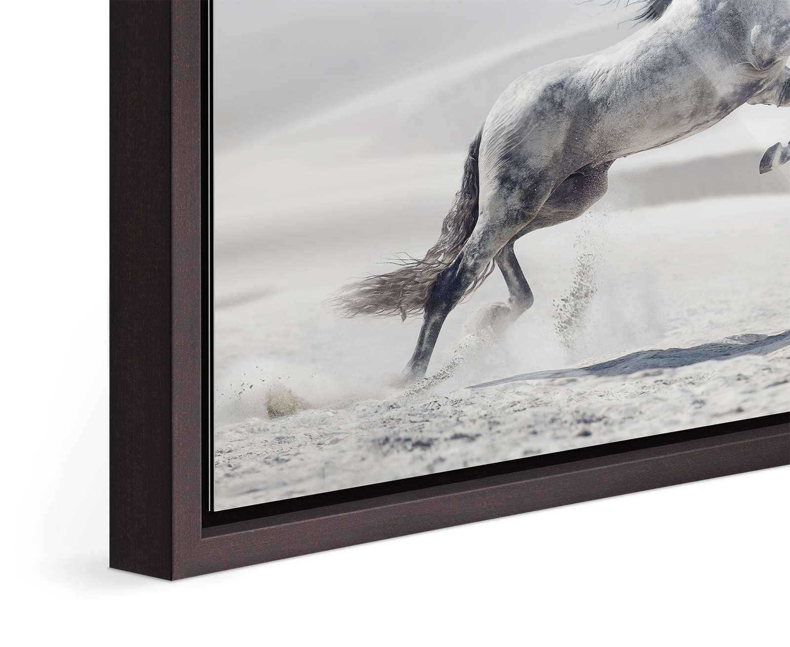 Close up of the image of a white horse jumping in a desert landscape framed in a Floater Frame.