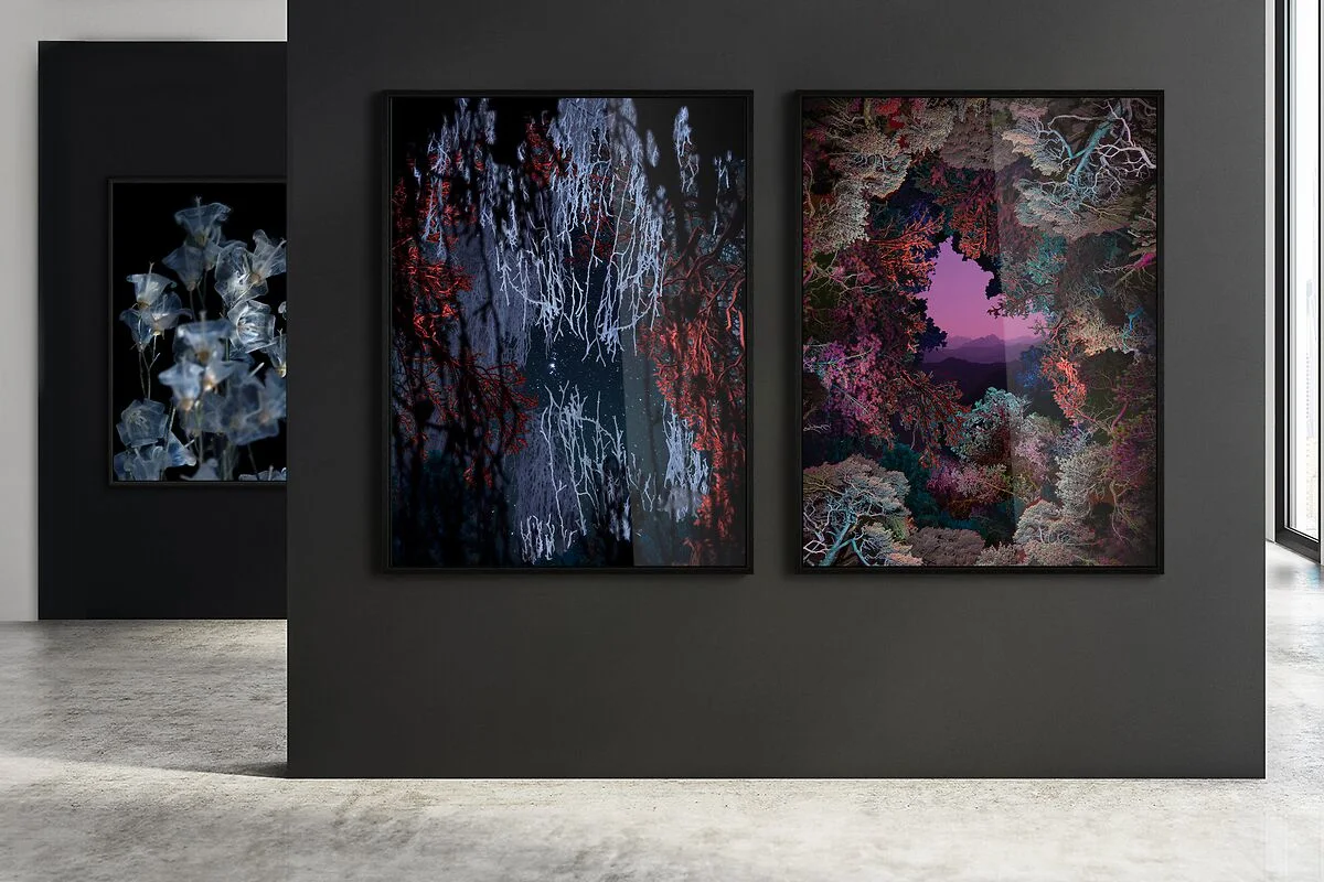 Trois tableaux avec des cadres à joints d'ombre représentant des forêts et des fleurs sur un mur dans une salle d'exposition.