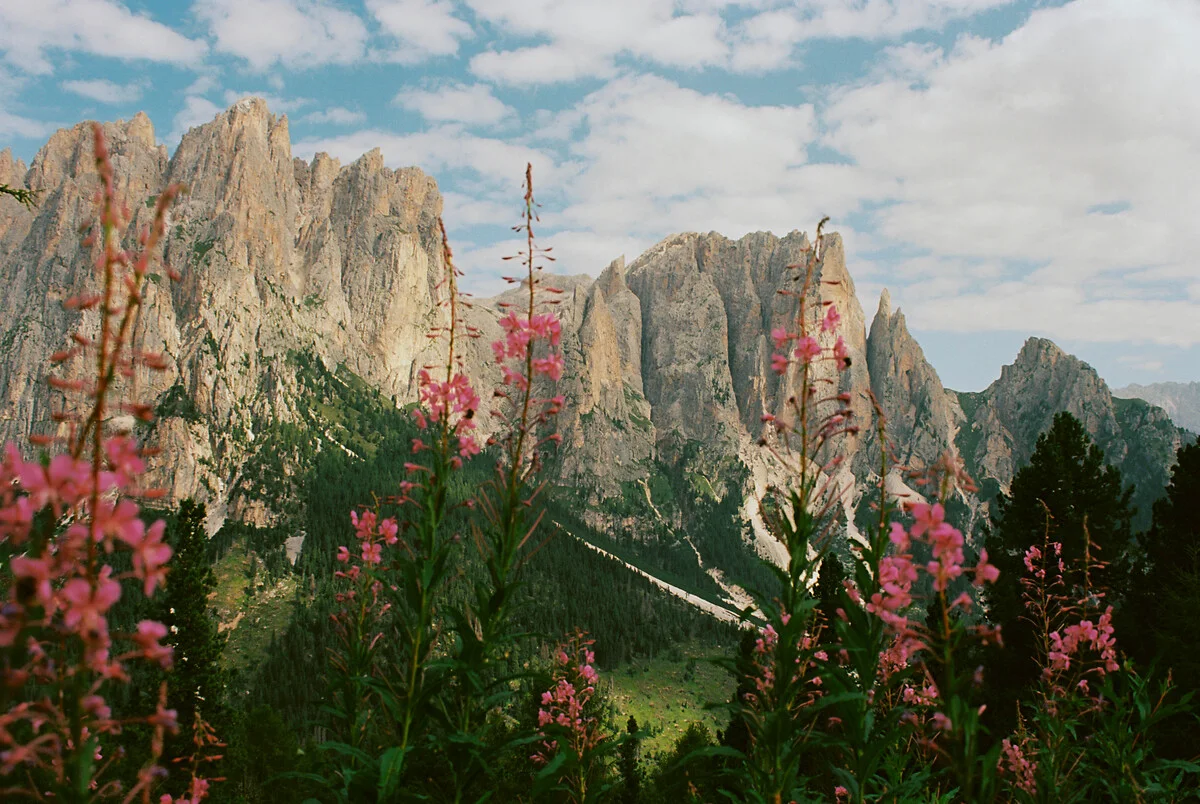 Mountain landscape with pointed rocks and pink flowering plants in the foreground under a cloudy sky.