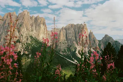 Mountain landscape with pointed rocks and pink flowering plants in the foreground under a cloudy sky.