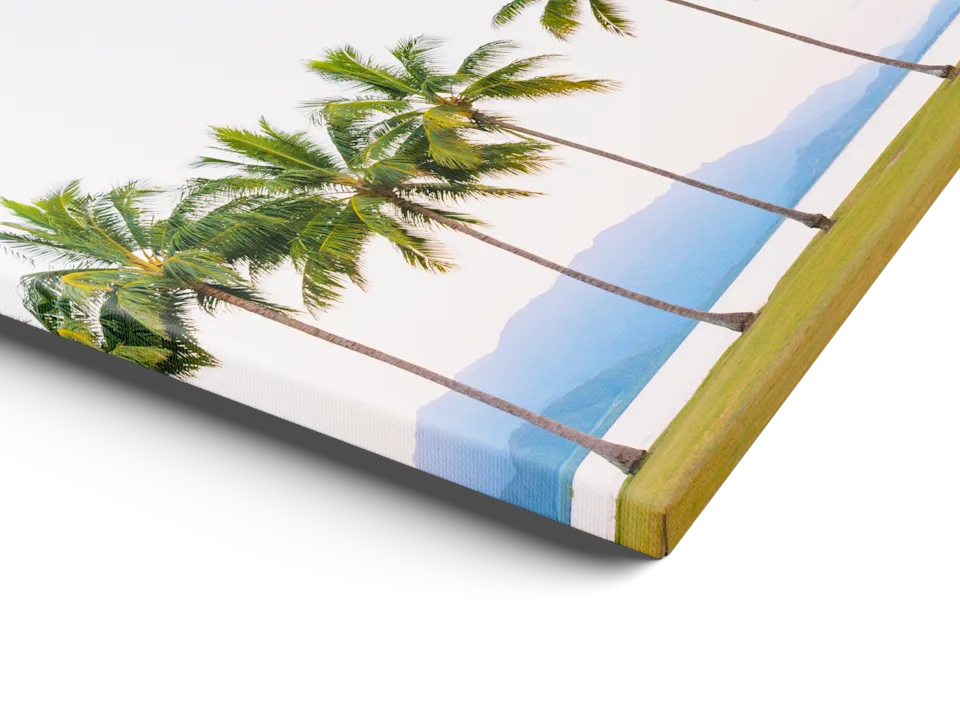 Une impression sur toile avec bordure miroir représentant des palmiers tropicaux sur fond de ciel bleu et d’océan, présentée en biais sur un fond blanc.