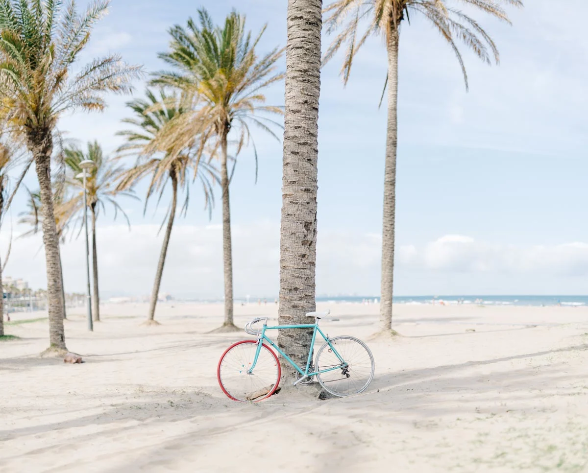 A bicycle with a blue frame leans against a palm tree on a sandy beach with several palm trees in the background.