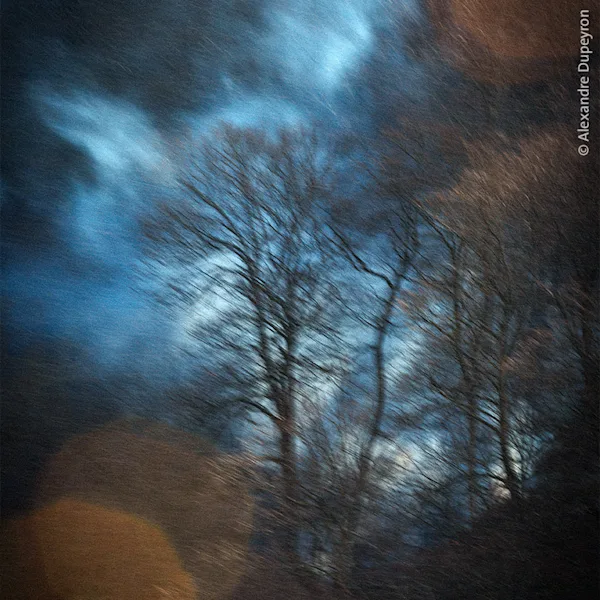Artistic photograph of leafless trees against a dramatic, textured sky in blue and brown tones, taken by Alexandre Dupeyron. The image captures motion blur and light reflections, evoking a dreamlike, painterly atmosphere reminiscent of impressionist art.