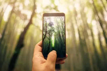 Hand holding smartphone with forest motif, background blurred trees and sunlight shining through leaves.