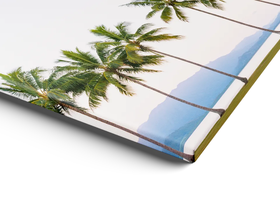 Une impression sur toile avec bords repliés, représentant de grands palmiers sur fond de ciel pâle et d’eau bleue de l’océan, présentée en biais sur une surface blanche.