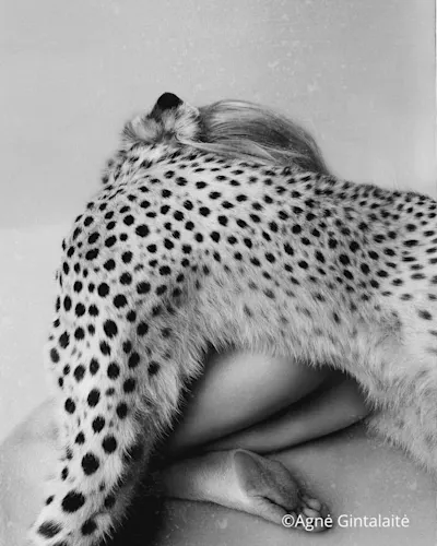 leopard's hindquarters placed in front of a woman's bare back