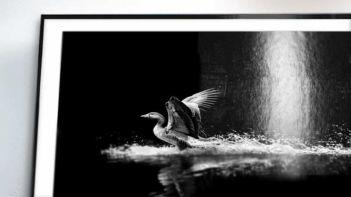 Black and white framed photo of a bird spreading its wings on water near a waterfall, with dramatic dark background.