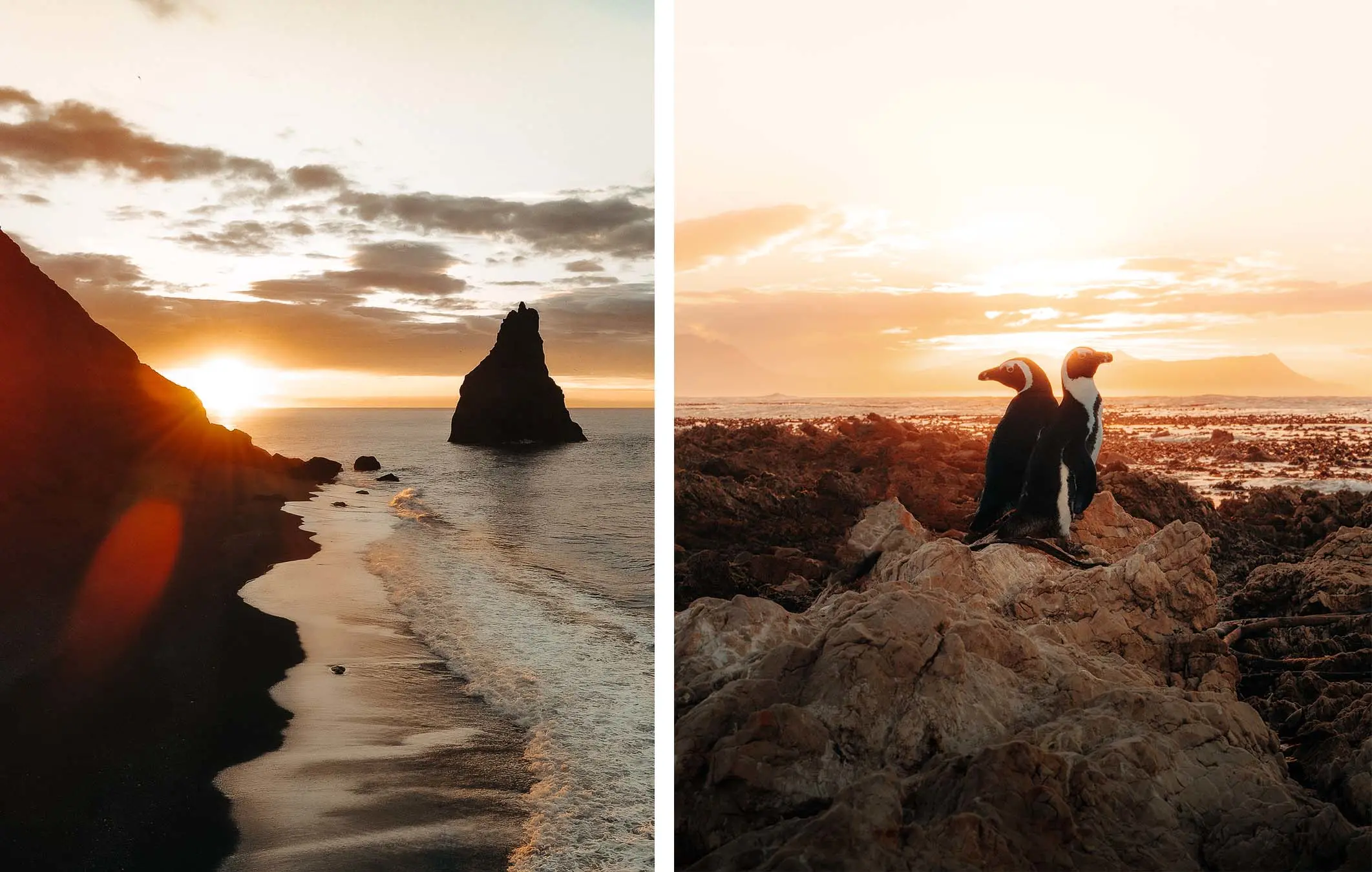 A beach with a sunset (left) and two penguins on a rock (right) - Photos: piaeliza.
