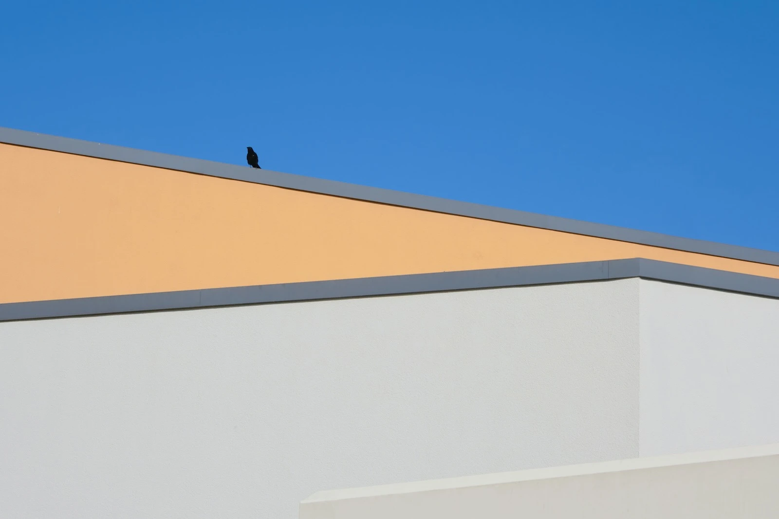 crow sitting on a roof.