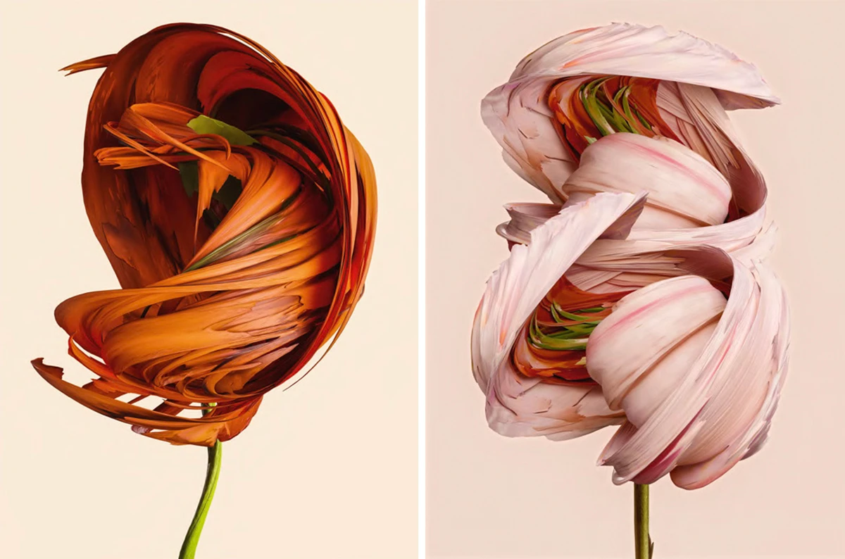Flora Incognita, two pictures side by side, photo art by Vincent Fournier.