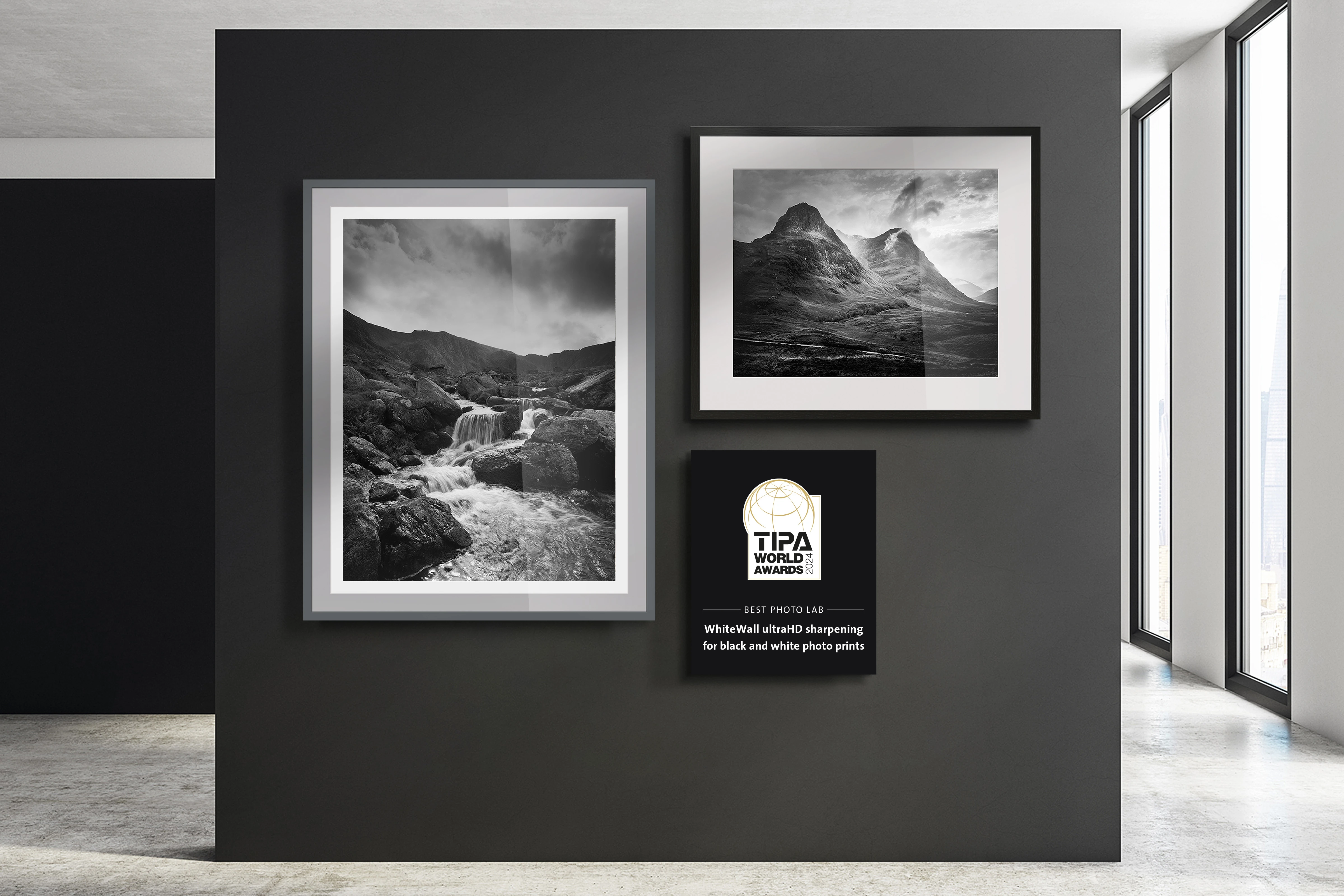 pictures on a wall with black and white motifs