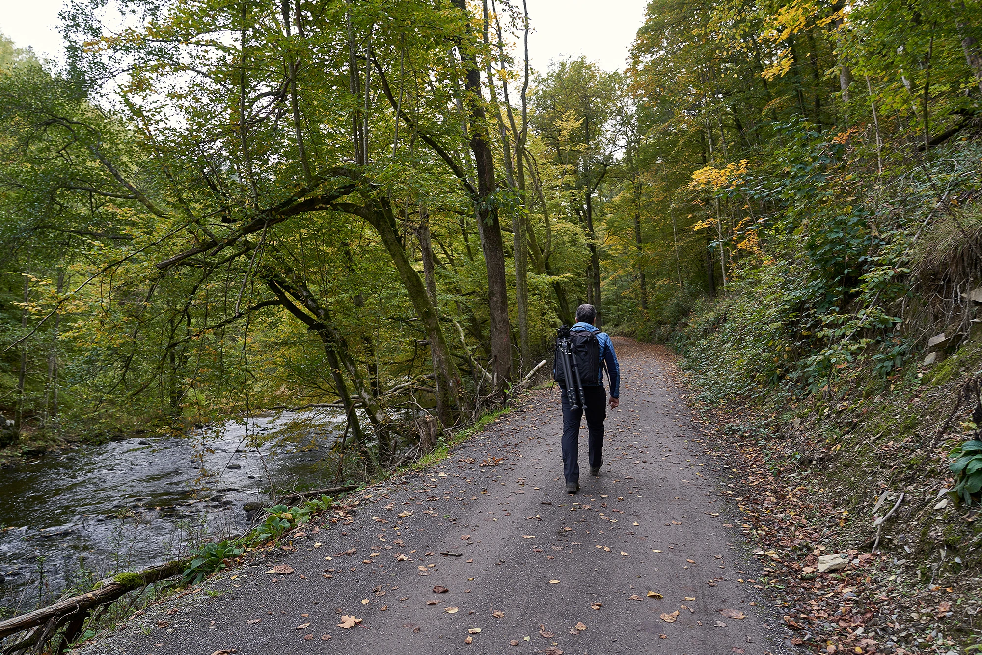 a man walking in the woods