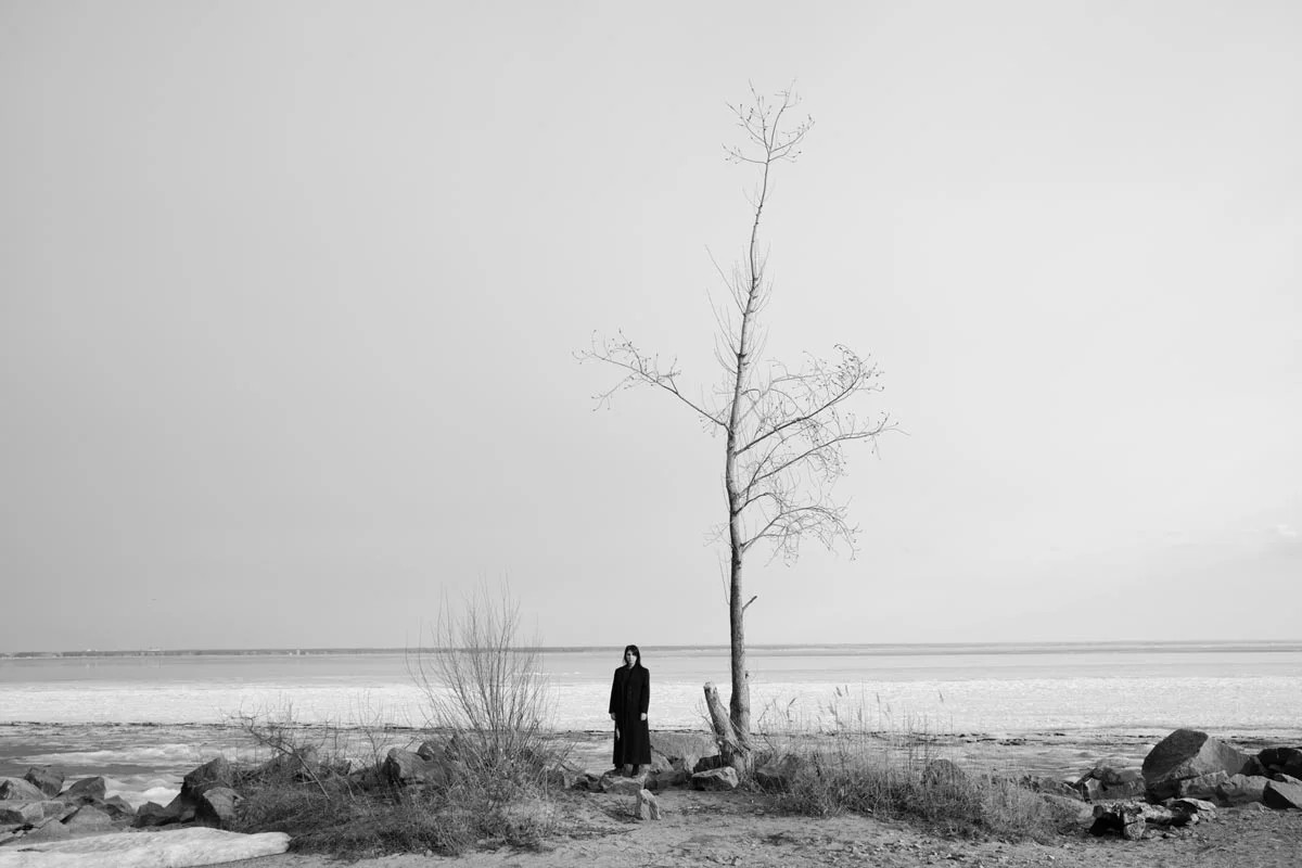 dead tree at the beach in B&W.