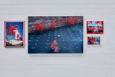 Four framed pictures on a white wall show landscapes with red trees and cityscapes.