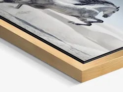 Floater Frame