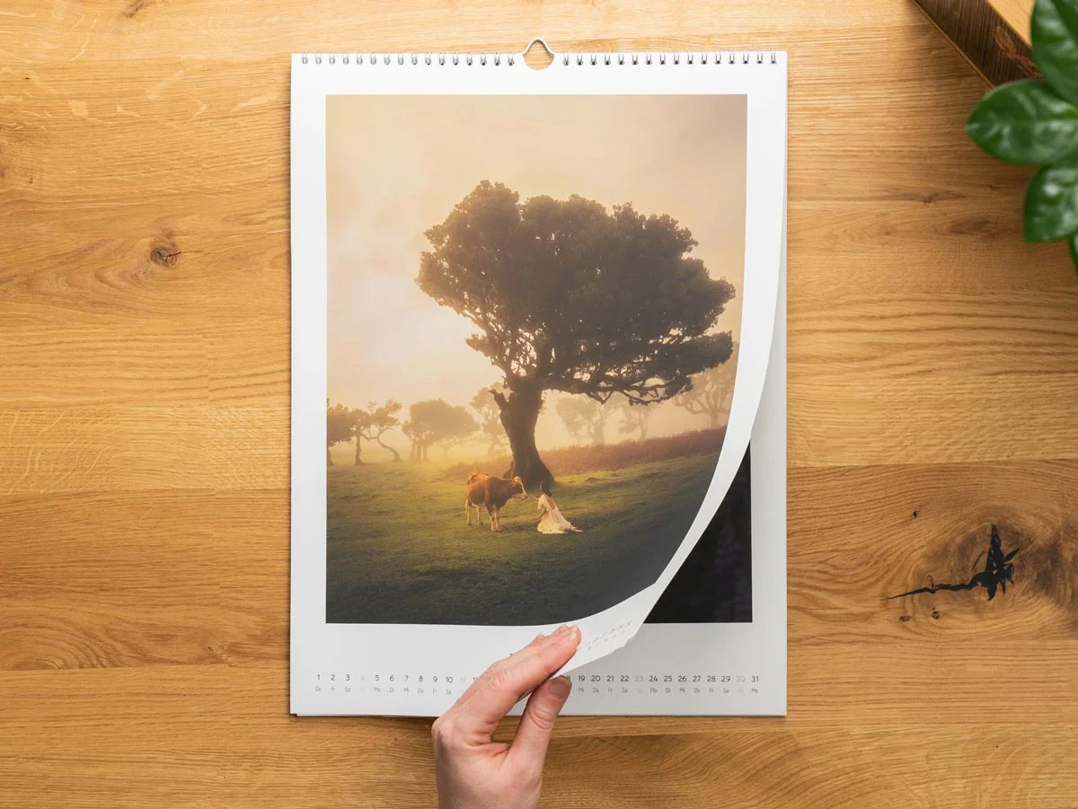 A photo calendar lies on a wooden surface. A hand turns a page showing a photo of a tree, a cow and a kneeling woman in a meadow.