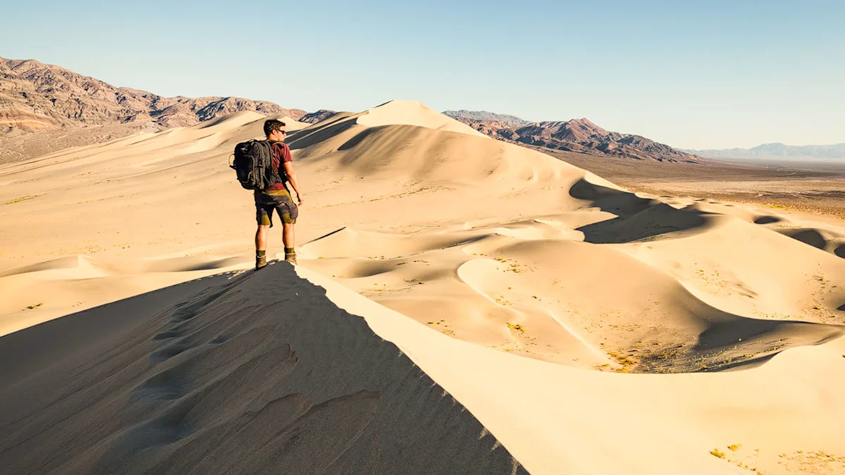 A hiker with a backpack stands atop a golden sand dune, gazing at vast desert dunes and distant mountains under a clear sky.
