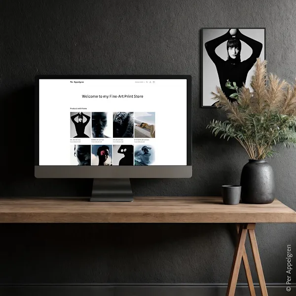 Picture of a Shopify-Shop with WhiteWall