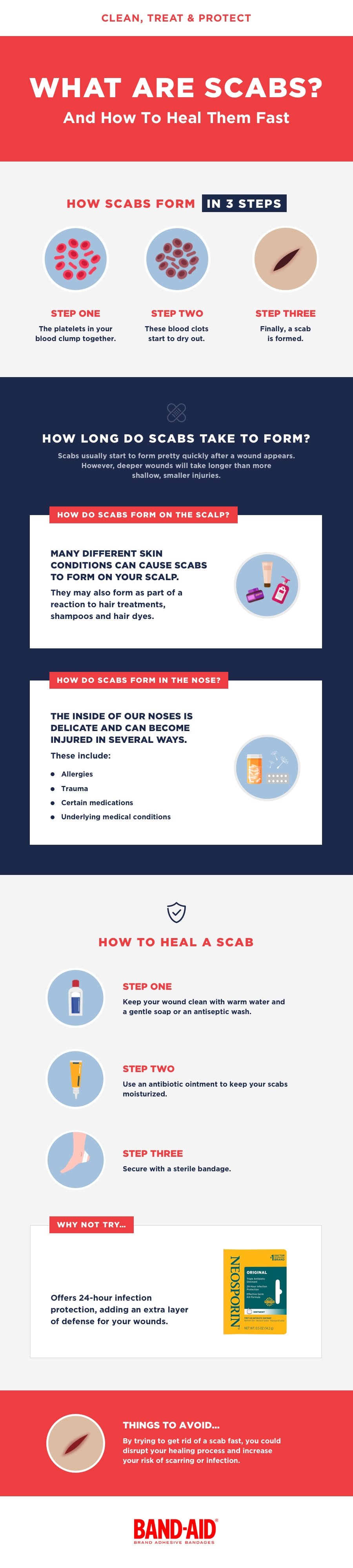 Infographic explaining what scabs are and how to heal them in three steps: stop bleeding, protect with a bandage, and keep the scab moist. It also covers the formation time of scabs, types of scabs, and tips to avoid scarring.