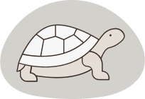 Illustration of a turtle moving slowly, symbolizing the need for slow and careful movement after surgery to avoid straining the wound area.